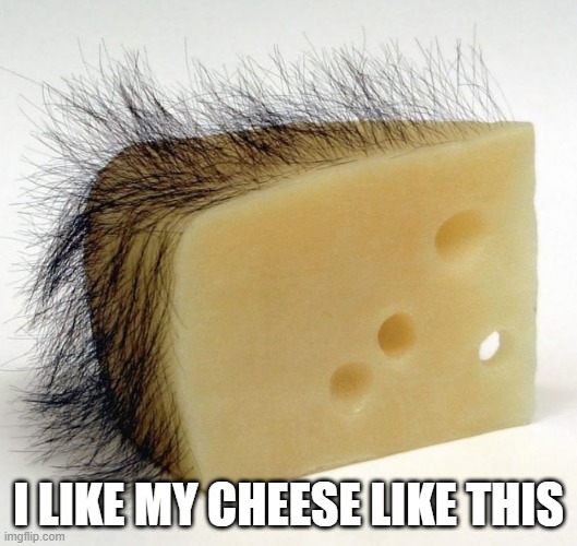 Hairy Cheese | I LIKE MY CHEESE LIKE THIS | image tagged in food | made w/ Imgflip meme maker