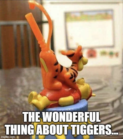 Go Tigger | THE WONDERFUL THING ABOUT TIGGERS... | image tagged in sex jokes | made w/ Imgflip meme maker