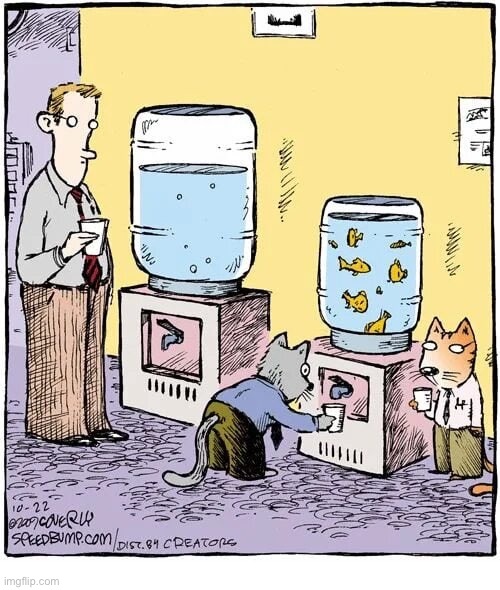 Their union got that for for them… | image tagged in cats,comics,speed bump,office,water fountain | made w/ Imgflip meme maker