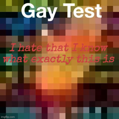 Yuh | I hate that I know what exactly this is | image tagged in gay test | made w/ Imgflip meme maker