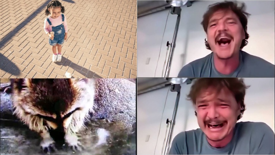 image tagged in pedro pascal,sad,raccoon,ice cream | made w/ Imgflip meme maker