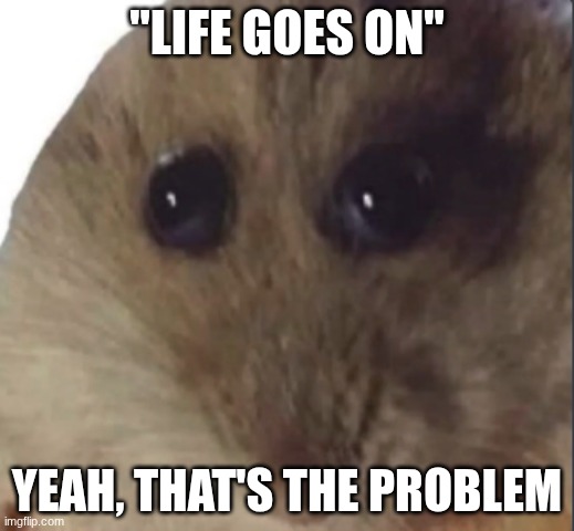 Hampter | "LIFE GOES ON"; YEAH, THAT'S THE PROBLEM | image tagged in hampter | made w/ Imgflip meme maker