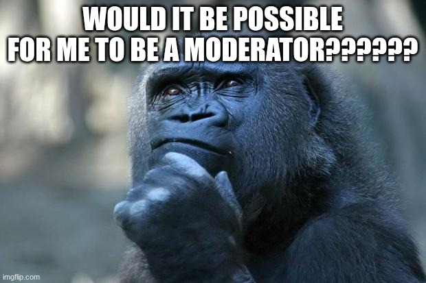 ???? | WOULD IT BE POSSIBLE FOR ME TO BE A MODERATOR?????? | image tagged in deep thoughts | made w/ Imgflip meme maker