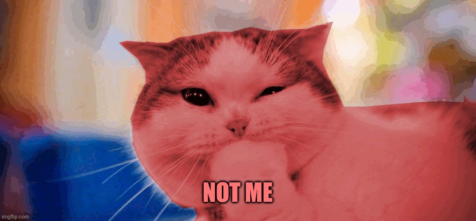 RayCat laughing | NOT ME | image tagged in raycat laughing | made w/ Imgflip meme maker