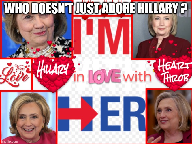 Hillary Clinton | WHO DOESN'T JUST ADORE HILLARY ? | image tagged in hillary clinton | made w/ Imgflip meme maker