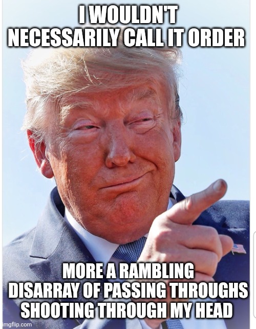 Trump pointing | I WOULDN'T NECESSARILY CALL IT ORDER MORE A RAMBLING DISARRAY OF PASSING THROUGHS SHOOTING THROUGH MY HEAD | image tagged in trump pointing | made w/ Imgflip meme maker