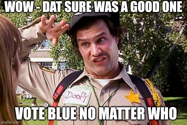 Special Officer Doofy | WOW - DAT SURE WAS A GOOD ONE VOTE BLUE NO MATTER WHO | image tagged in special officer doofy | made w/ Imgflip meme maker