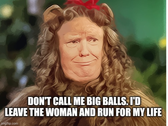 DON'T CALL ME BIG BALLS. I'D LEAVE THE WOMAN AND RUN FOR MY LIFE | made w/ Imgflip meme maker