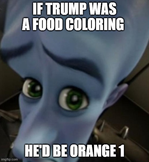 Megamind no bitches | IF TRUMP WAS A FOOD COLORING; HE'D BE ORANGE 1 | image tagged in megamind no bitches | made w/ Imgflip meme maker