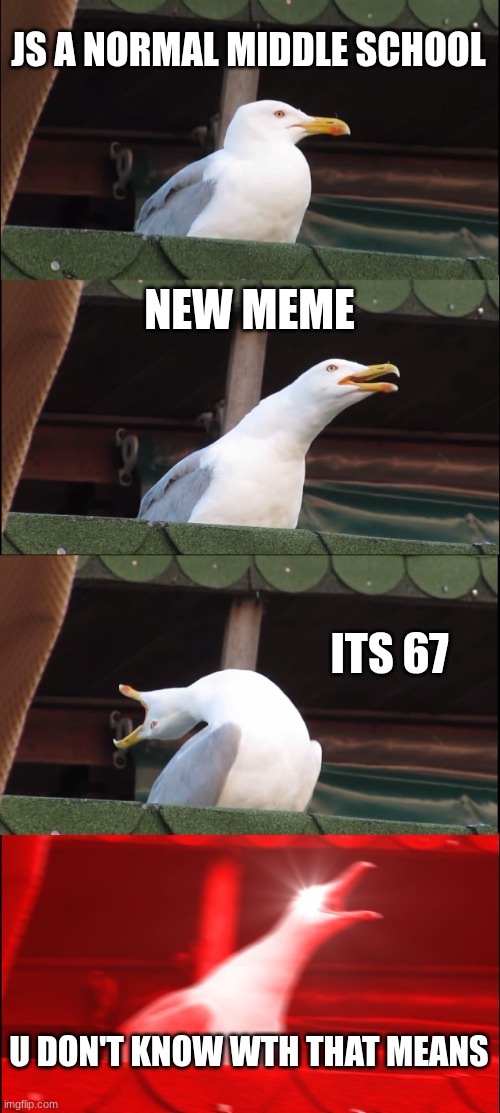 Inhaling Seagull Meme | JS A NORMAL MIDDLE SCHOOL; NEW MEME; ITS 67; U DON'T KNOW WTH THAT MEANS | image tagged in memes,inhaling seagull | made w/ Imgflip meme maker