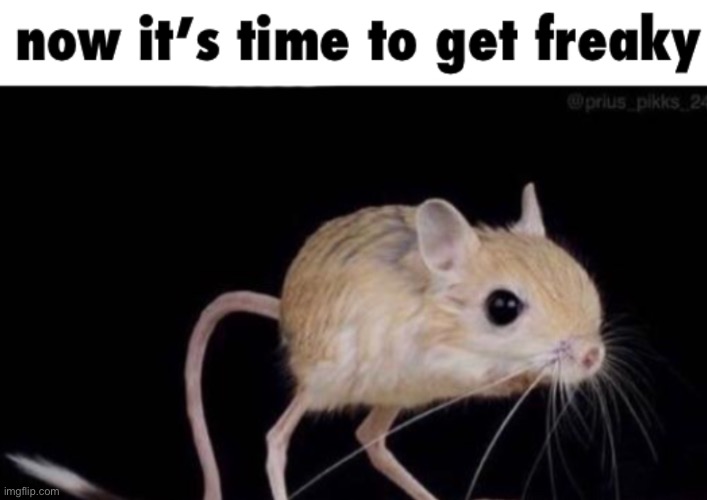 now it’s time to get freaky | image tagged in now it s time to get freaky | made w/ Imgflip meme maker
