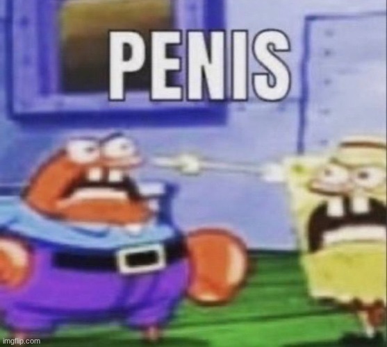 PENIS | image tagged in penis | made w/ Imgflip meme maker