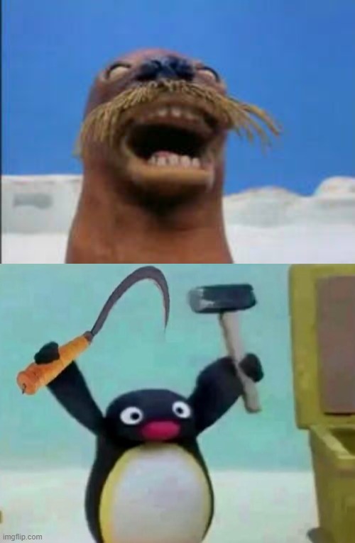 remember that pingu is not necessarily for kids! Blank Meme Template