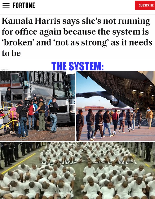 All those votes and districting numbers out the window | image tagged in illegal immigrants,kamala harris,american politics | made w/ Imgflip meme maker