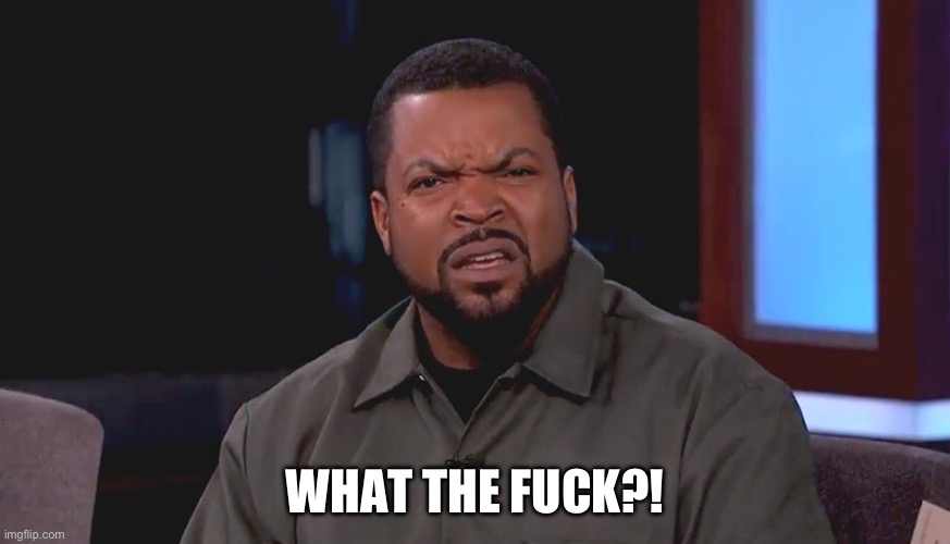 Really? Ice Cube | WHAT THE FUCK?! | image tagged in really ice cube | made w/ Imgflip meme maker