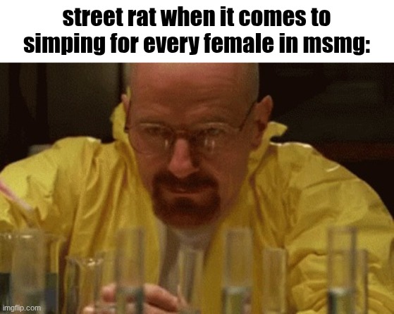 Walter White Cooking | street rat when it comes to simping for every female in msmg: | image tagged in walter white cooking | made w/ Imgflip meme maker