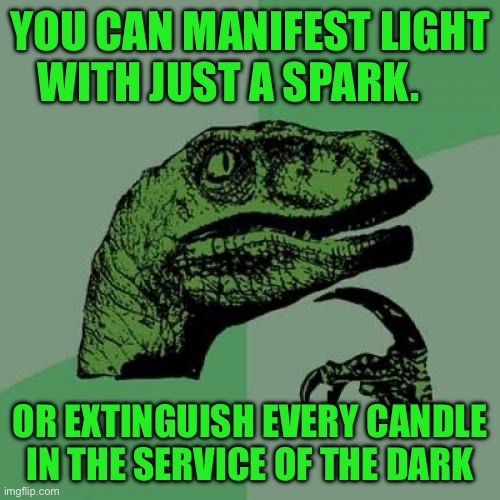 Philosoraptor | YOU CAN MANIFEST LIGHT WITH JUST A SPARK. OR EXTINGUISH EVERY CANDLE IN THE SERVICE OF THE DARK | image tagged in memes,philosoraptor | made w/ Imgflip meme maker
