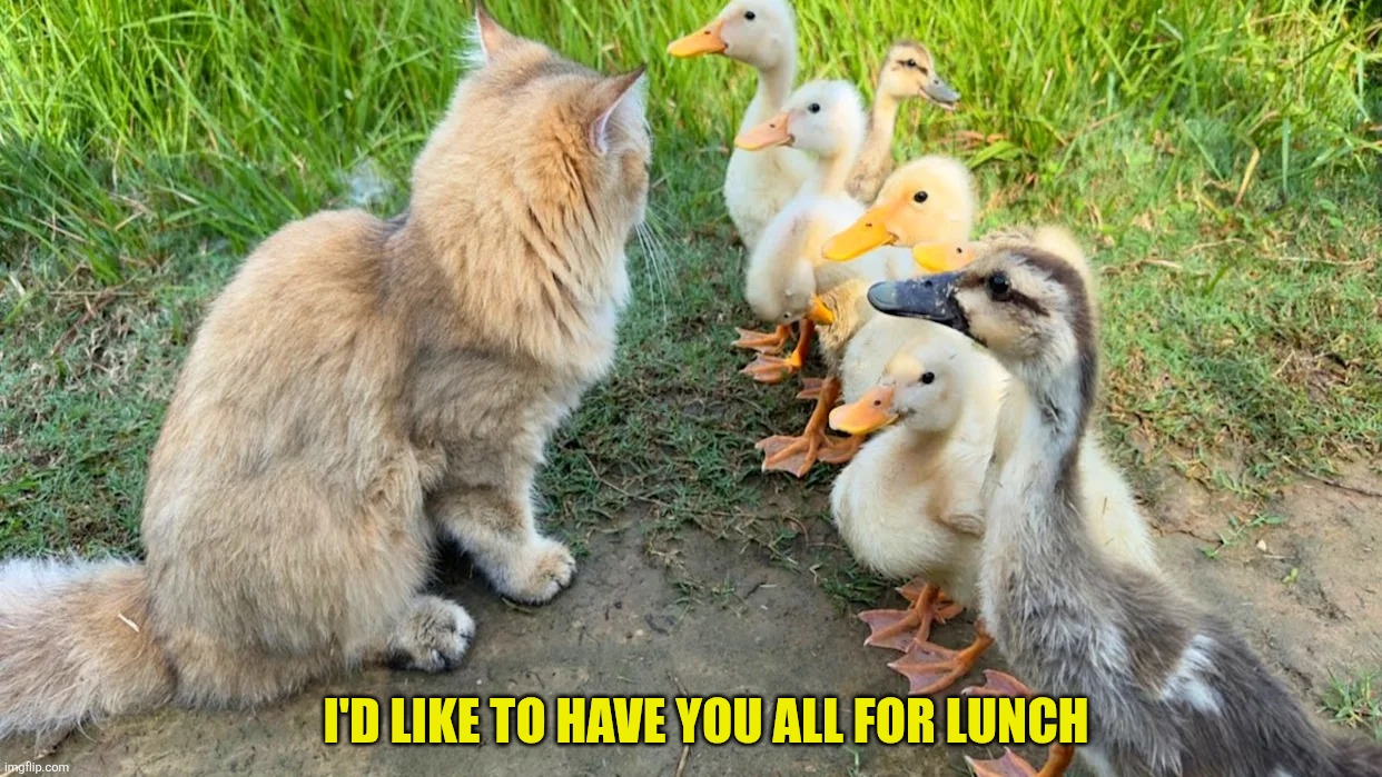 I'D LIKE TO HAVE YOU ALL FOR LUNCH | made w/ Imgflip meme maker