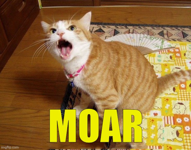 moar cat | MOAR | image tagged in moar cat | made w/ Imgflip meme maker
