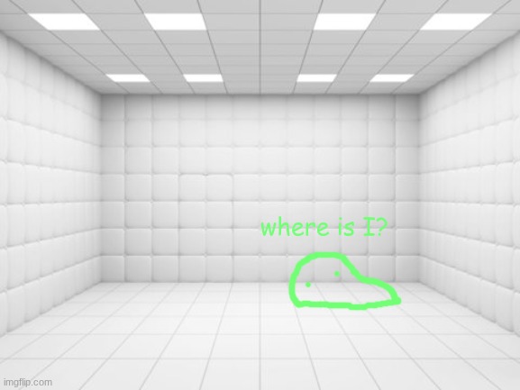 he is only in here so he does accidentally hurt himself like an absolute dumbass | where is I? | image tagged in padded cell | made w/ Imgflip meme maker