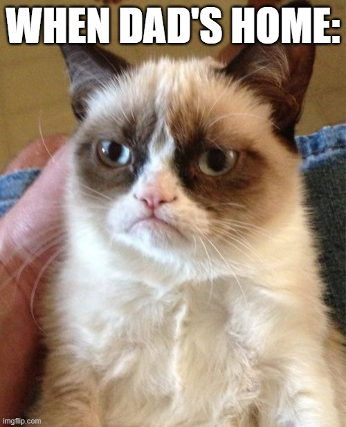 Grumpy Cat | WHEN DAD'S HOME: | image tagged in memes,grumpy cat | made w/ Imgflip meme maker