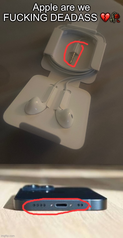 are we DEADASS | Apple are we FUCKING DEADASS 💔🥀 | image tagged in msmg,apple | made w/ Imgflip meme maker