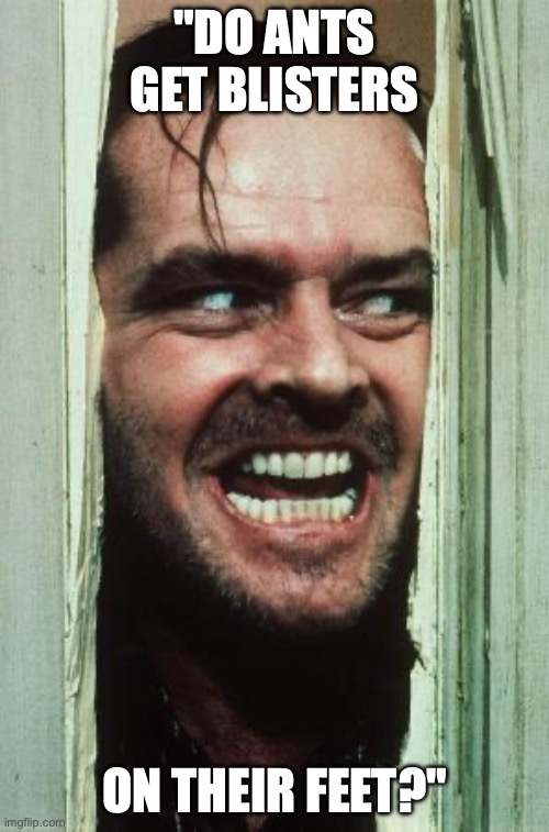 Here's Johnny | "DO ANTS GET BLISTERS; ON THEIR FEET?" | image tagged in memes,here's johnny | made w/ Imgflip meme maker