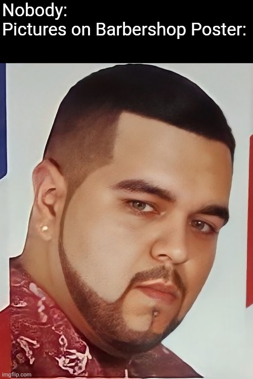 Barbershop Poster Meme | Nobody:

Pictures on Barbershop Poster: | image tagged in cool dude w/haircut,haircut,men's haircuts | made w/ Imgflip meme maker