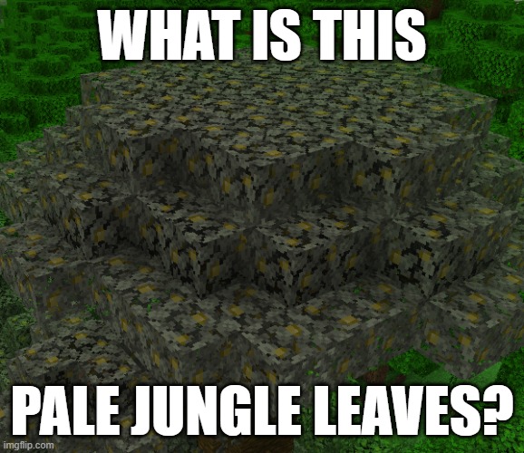 WHAT IS THIS; PALE JUNGLE LEAVES? | image tagged in minecraft | made w/ Imgflip meme maker