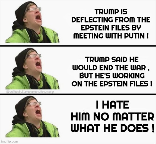 Wow , make up your minds | TRUMP IS DEFLECTING FROM THE EPSTEIN FILES BY MEETING WITH PUTIN ! TRUMP SAID HE WOULD END THE WAR , 
BUT HE'S WORKING ON THE EPSTEIN FILES ! I HATE HIM NO MATTER WHAT HE DOES ! | image tagged in whining liberal,trump derangement syndrome,mental illness,no more brain cells,drain bamage,triggered liberal | made w/ Imgflip meme maker