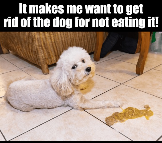 It makes me want to get rid of the dog for not eating it! | made w/ Imgflip meme maker