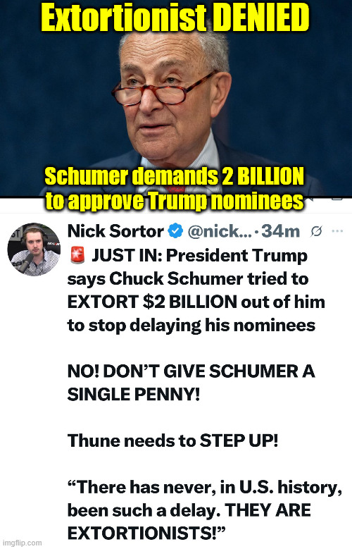 Extortionist DENIED | Extortionist DENIED; Schumer demands 2 BILLION to approve Trump nominees | image tagged in chuck schumer,extortionist,dems are criminals | made w/ Imgflip meme maker