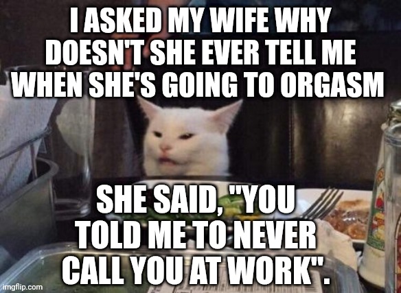 Smudge that darn cat | I ASKED MY WIFE WHY DOESN'T SHE EVER TELL ME WHEN SHE'S GOING TO ORGASM; SHE SAID, "YOU TOLD ME TO NEVER CALL YOU AT WORK". | image tagged in smudge that darn cat | made w/ Imgflip meme maker