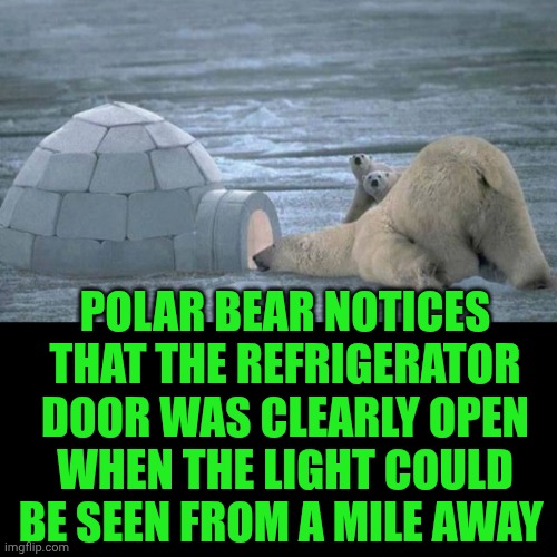 Funny | POLAR BEAR NOTICES THAT THE REFRIGERATOR DOOR WAS CLEARLY OPEN WHEN THE LIGHT COULD BE SEEN FROM A MILE AWAY | image tagged in funny,refrigerator,light,door,open,polar bear | made w/ Imgflip meme maker