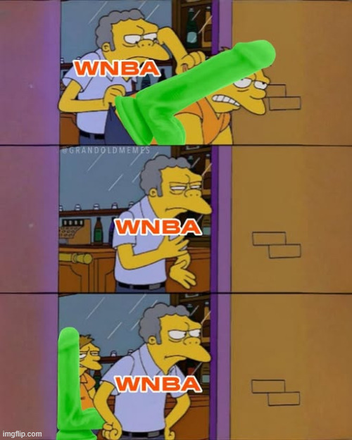 wnba | image tagged in wnba,political,reposts | made w/ Imgflip meme maker