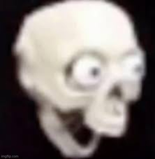 shocked skeleton | image tagged in shocked skeleton | made w/ Imgflip meme maker
