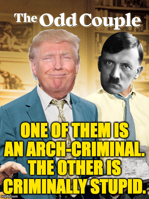 In the pilot, Don and Addie, exiled by their countries, decide to open a surf shop. | ONE OF THEM IS
AN ARCH-CRIMINAL.
THE OTHER IS
CRIMINALLY STUPID. | image tagged in memes,trump,hitler,the odd couple | made w/ Imgflip meme maker