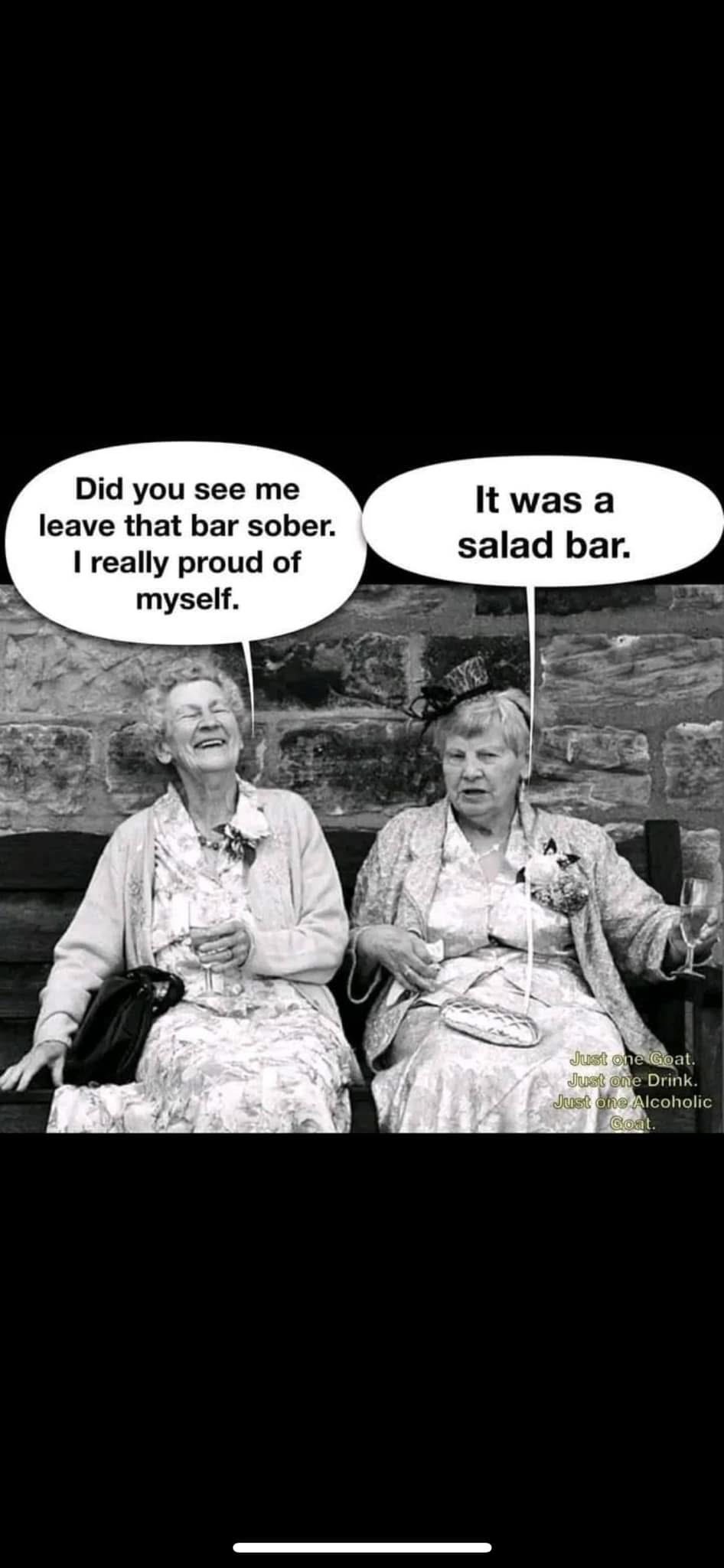 Old ladies Blank Meme Template