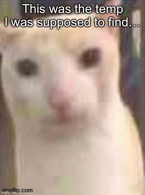 I found extra pussy on accident | This was the temp I was supposed to find… | image tagged in virian | made w/ Imgflip meme maker