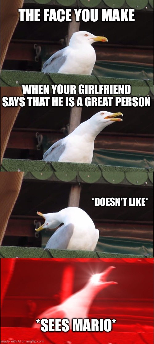 Inhaling Seagull | THE FACE YOU MAKE; WHEN YOUR GIRLFRIEND SAYS THAT HE IS A GREAT PERSON; *DOESN'T LIKE*; *SEES MARIO* | image tagged in memes,inhaling seagull | made w/ Imgflip meme maker