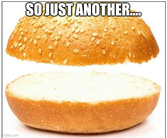 Nothing burger | SO JUST ANOTHER.... | image tagged in nothing burger | made w/ Imgflip meme maker