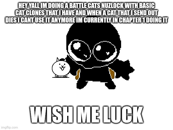 Yes | HEY YALL IM DOING A BATTLE CATS NUZLOCK WITH BASIC CAT CLONES THAT I HAVE AND WHEN A CAT THAT I SEND OUT DIES I CANT USE IT ANYMORE IM CURRENTLY IN CHAPTER 1 DOING IT; WISH ME LUCK | made w/ Imgflip meme maker