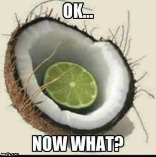 Lime in the coconut | image tagged in memes overload,lime in the coconut | made w/ Imgflip meme maker