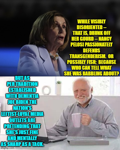 Lying to the nation is what the leftist-loyal media outlets do.  Journalism classes must be interesting. | WHILE VISIBLY DISORIENTED -- THAT IS, DRUNK OFF HER GOURD -- NANCY PELOSI PASSIONATELY DEFENDS TRANSGENDERISM.  OR POSSIBLY FISH;  BECAUSE WHO CAN TELL WHAT SHE WAS BABBLING ABOUT? BUT AS PER TRADITION ESTABLISHED WITH DEMENTIA JOE BIDEN THE NATION'S LEFTIST-LOYAL MEDIA OUTLETS ARE PRETENDING THAT SHE'S JUST FINE AND MENTALLY AS SHARP AS A TACK. | image tagged in hide the pain harold | made w/ Imgflip meme maker