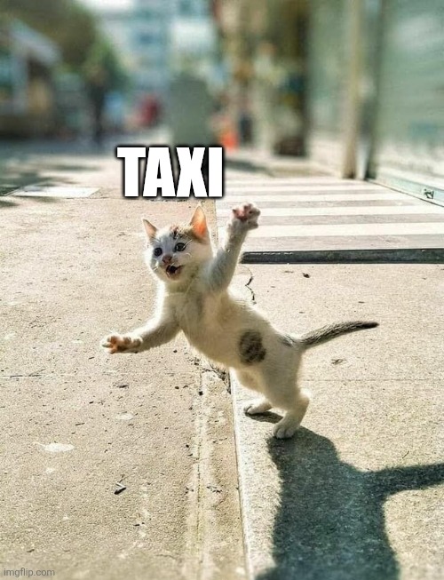 Taxi | TAXI | image tagged in chrisjoines1 | made w/ Imgflip meme maker