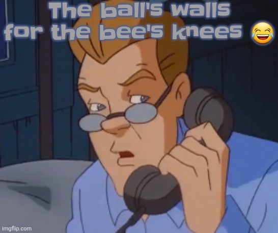 I found the puzzle | The ball's walls for the bee's knees 😂 | image tagged in when the boring ass phone call kicks in | made w/ Imgflip meme maker