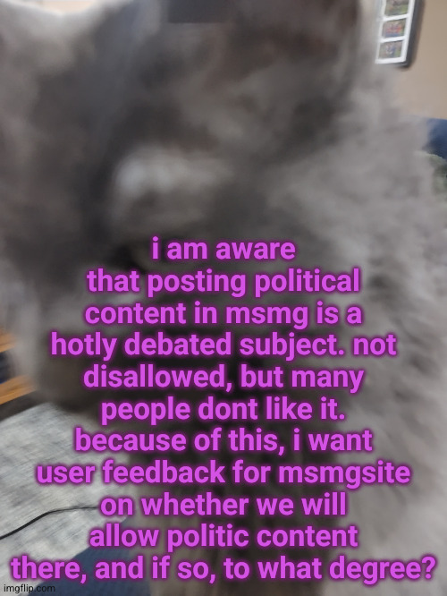 32's Cat | i am aware that posting political content in msmg is a hotly debated subject. not disallowed, but many people dont like it.
because of this, i want user feedback for msmgsite on whether we will allow politic content there, and if so, to what degree? | image tagged in 32's cat | made w/ Imgflip meme maker