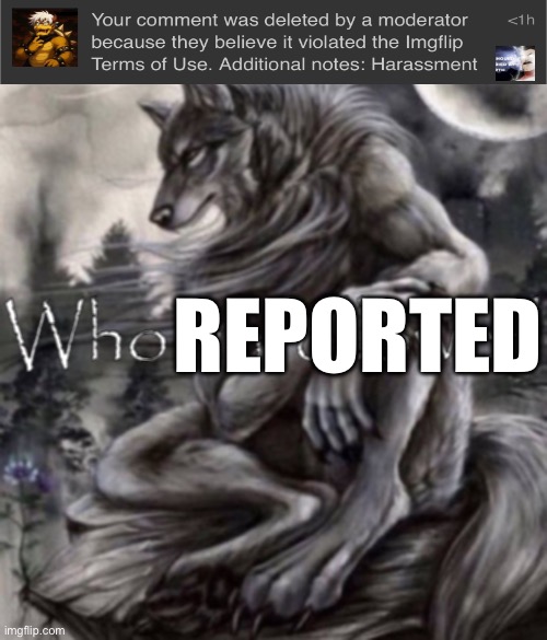 Mods at it again… | REPORTED | image tagged in who unfollowed | made w/ Imgflip meme maker