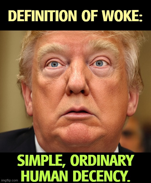 Trump won't understand any of this. | DEFINITION OF WOKE:; SIMPLE, ORDINARY HUMAN DECENCY. | image tagged in woke,simple,ordinary,human,decency,trump | made w/ Imgflip meme maker