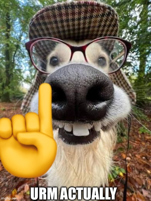 Funny dog | URM ACTUALLY | image tagged in funny dog,urm actually | made w/ Imgflip meme maker